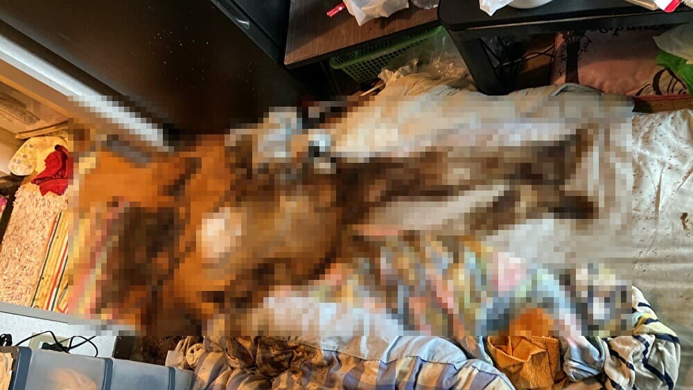 孤独死現場の清掃・原状回復